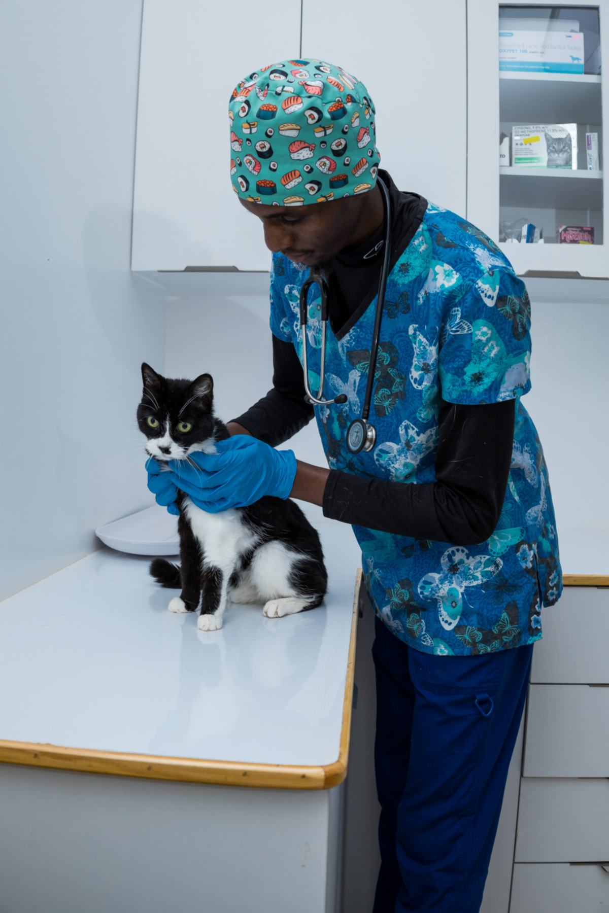 Mobivet Veterinary Clinic gallery photo